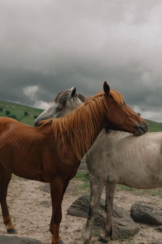 淘宝催人泪下文案,淘宝文案经典商品