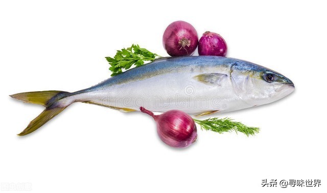 常见海鱼的品种大全及名字,海鱼的品种大全介绍