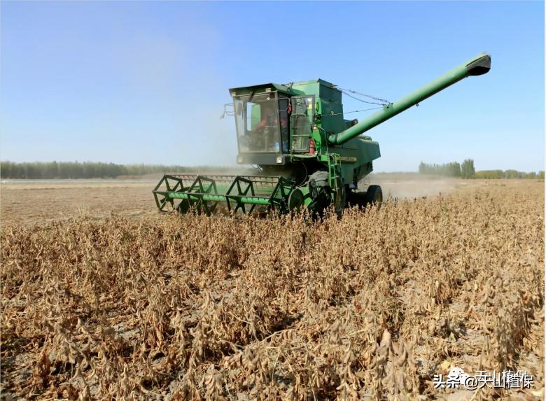 大豆全产业加工研究进展详情,大豆加工什么最有前途