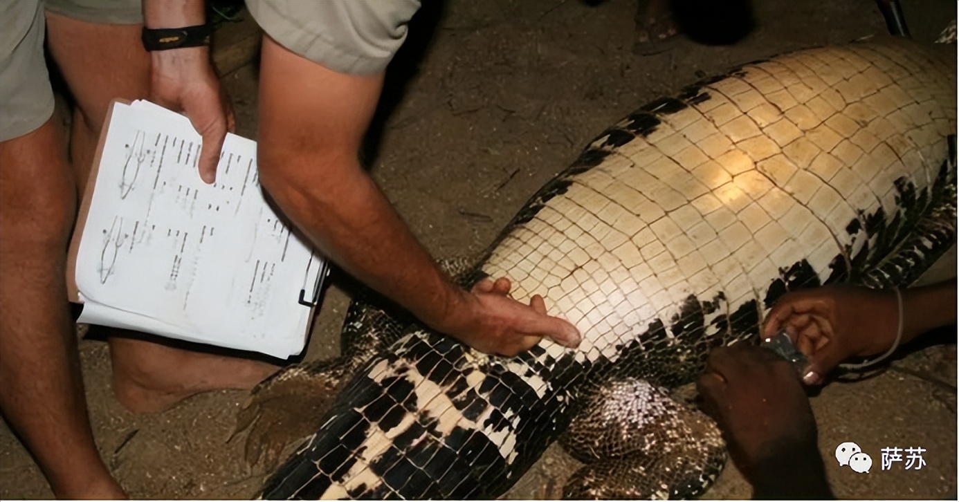 韩愈是怎么赶走鳄鱼的,韩愈写给鳄鱼的话
