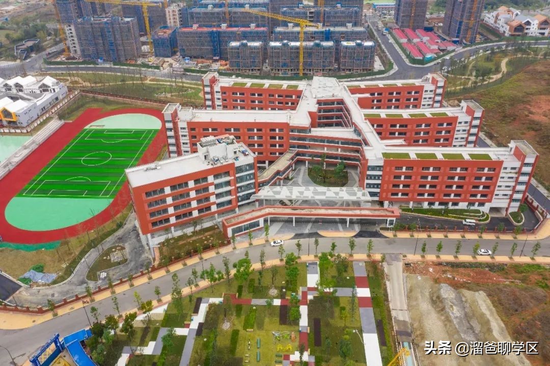 青羊新城哪个片区发展潜力大,青羊新城板块图