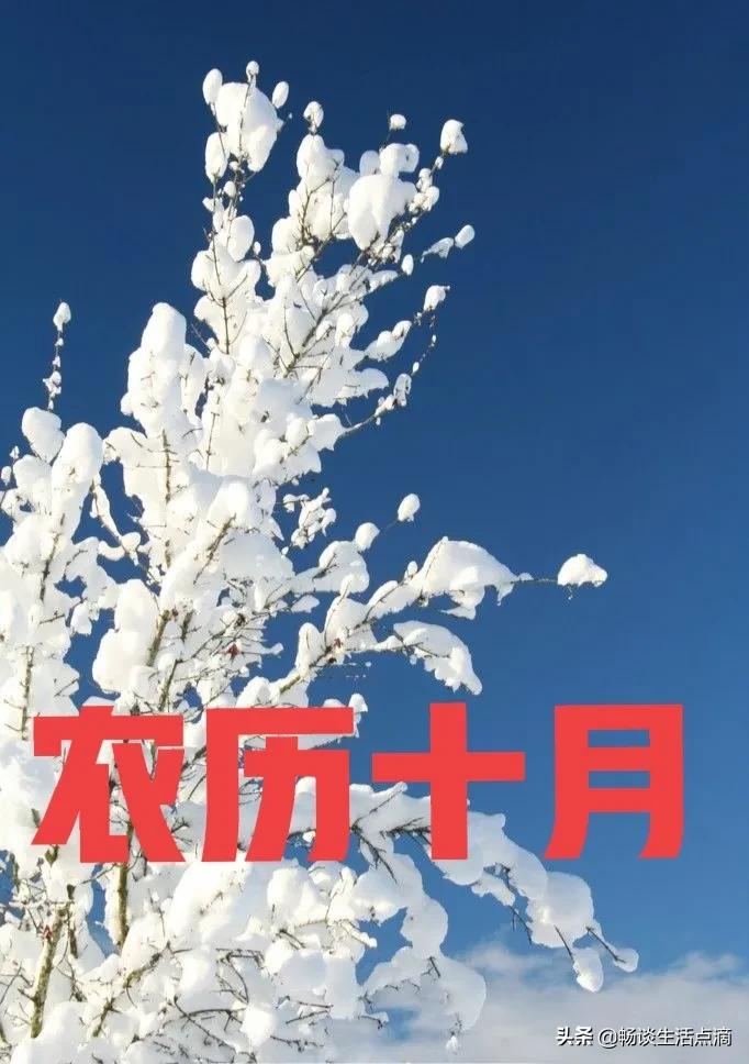 2022年的年景预测,预测2022年什么年景