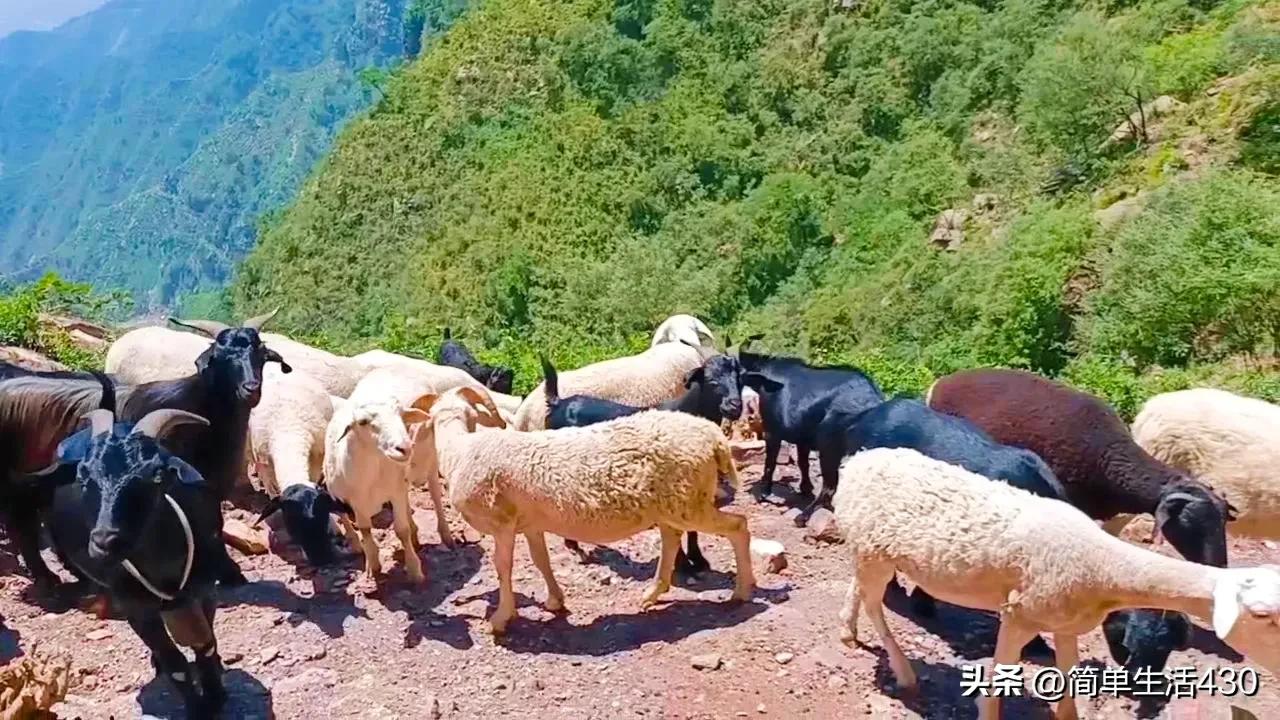 徒步穿越南太行山经典路线,夏季徒步太行山攻略