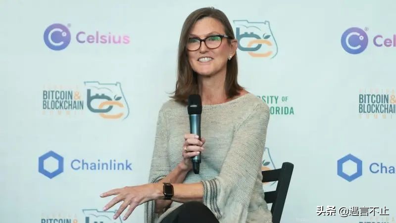 57岁封神，65岁翻车，女股神木头姐是被风吹上天的猪？