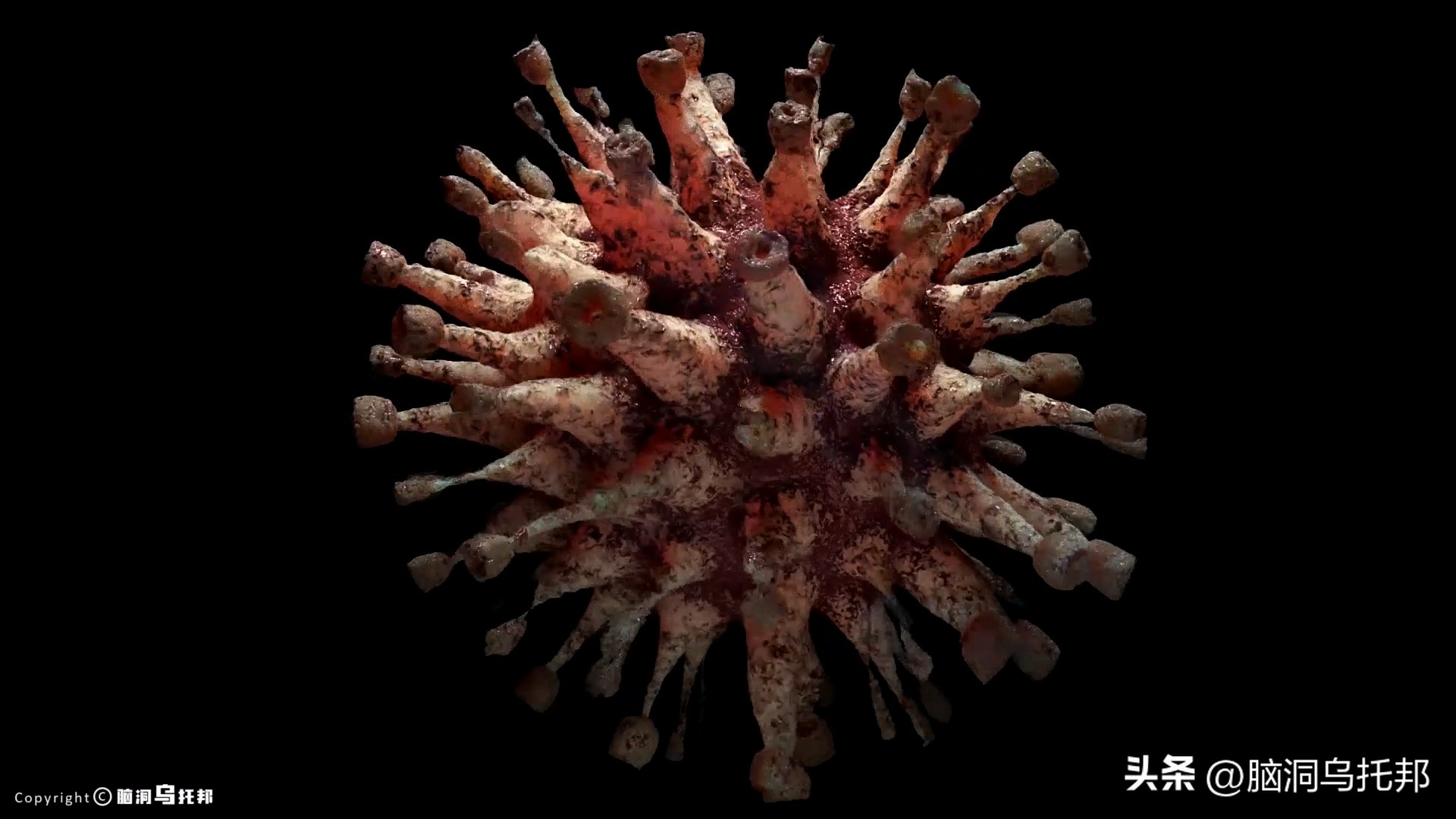 无症状感染是因为体质差吗,为什么有的人感染症状轻