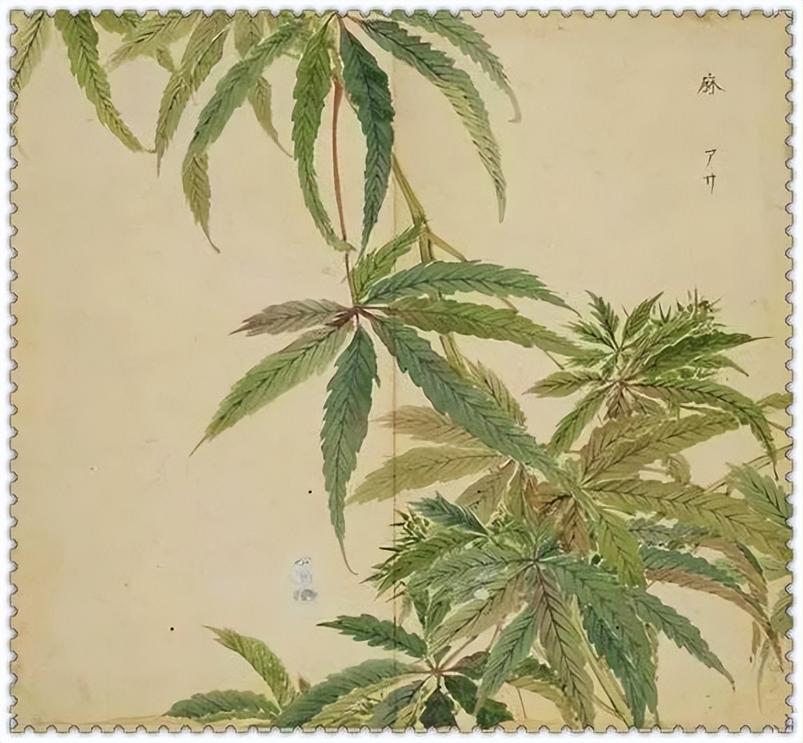 诗经里的春天穿越千年,诗经中的春天穿越了千年