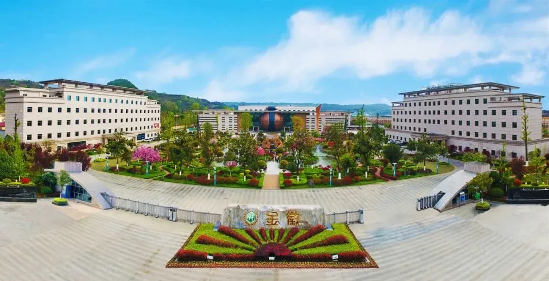 金徽老窖产地是哪里,金徽老窖酒品鉴