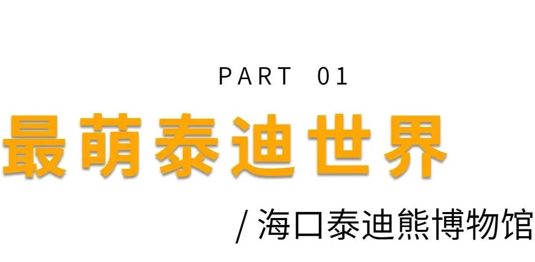 遇见宝藏博物馆活动,遇见宝藏保定推介