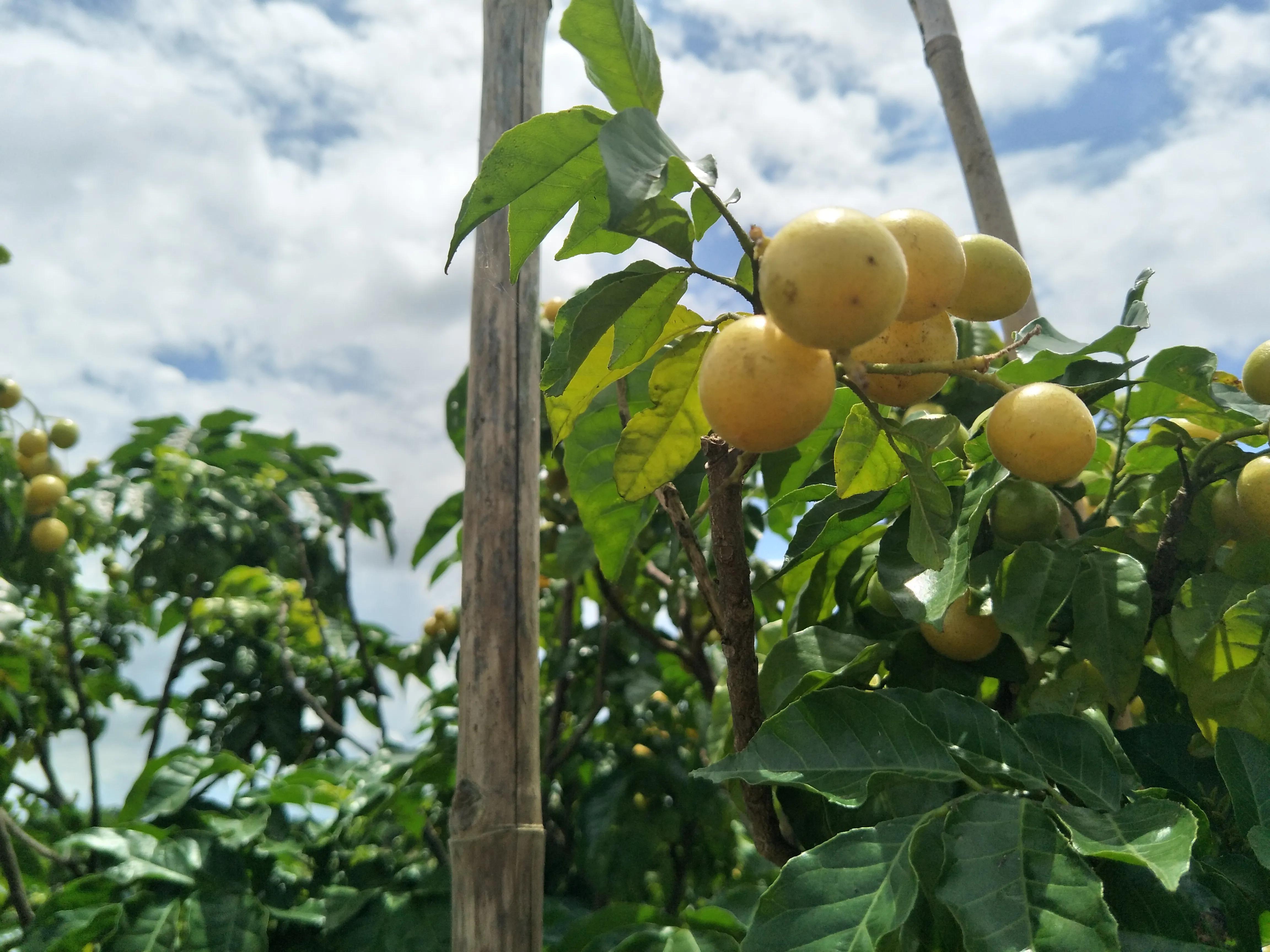 和朋友吵架后怎么发信息和好,二年级孩子和好朋友吵架怎么和好