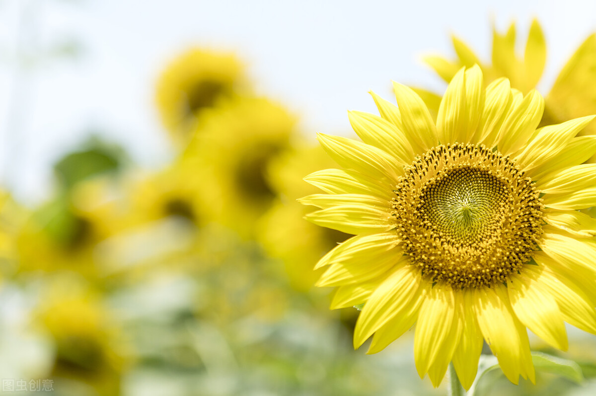 人生当中难免会遇到挫折，我们应该怎样面对？