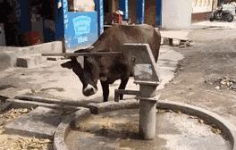 今日动图：前不久交了一位女朋友，昨天晚上约会时忍不住吻了她