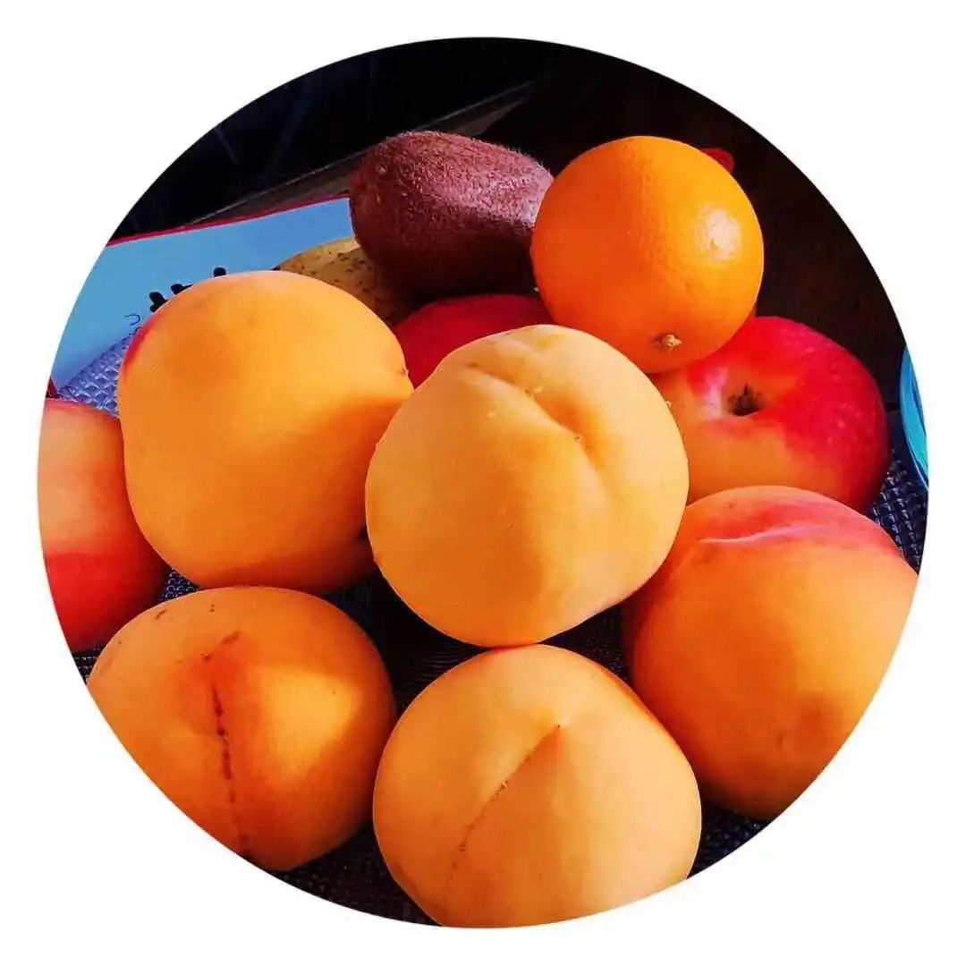 沂蒙乡村振兴学习感悟,乡村振兴看沂蒙专题