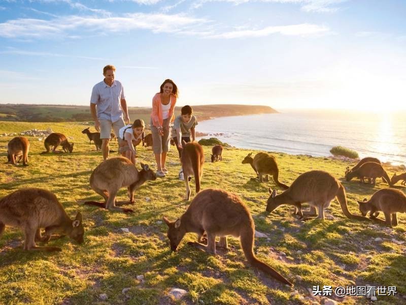澳大利亚的国家基本常识,澳大利亚到底是个啥样的国家