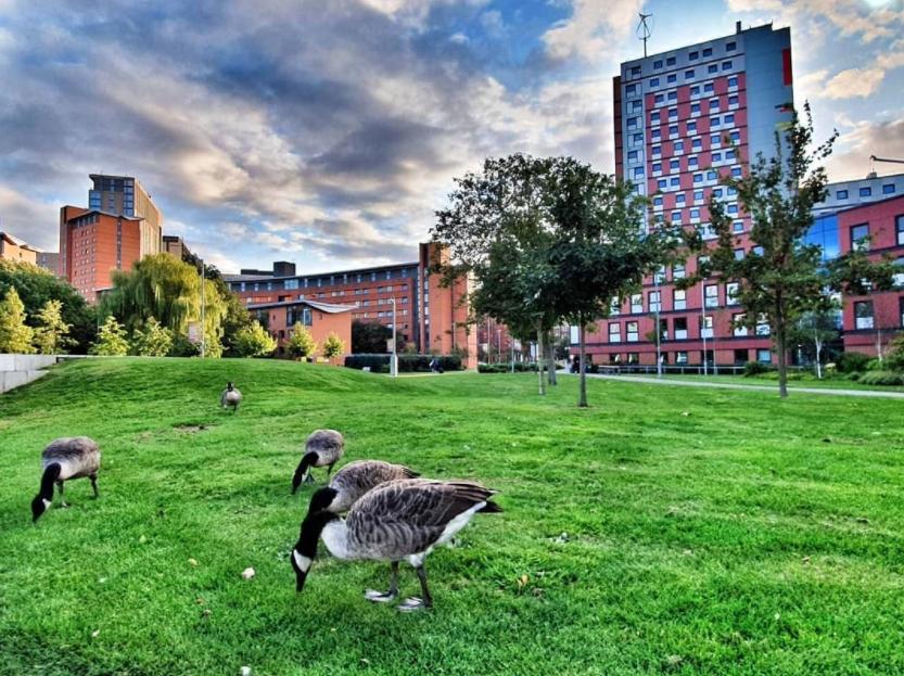 英国qs200还有必要上吗,qs200-300的学校有必要读没