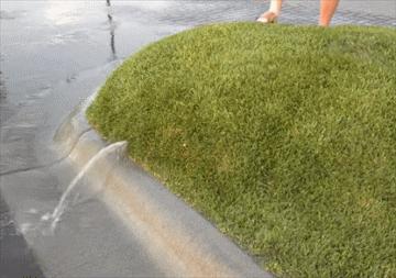 草原上为什么有鼓包,内蒙草地渗水