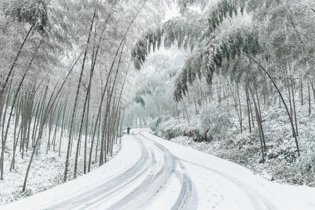 宜宾夏季度假旅游攻略大全,宜宾旅游攻略冬季