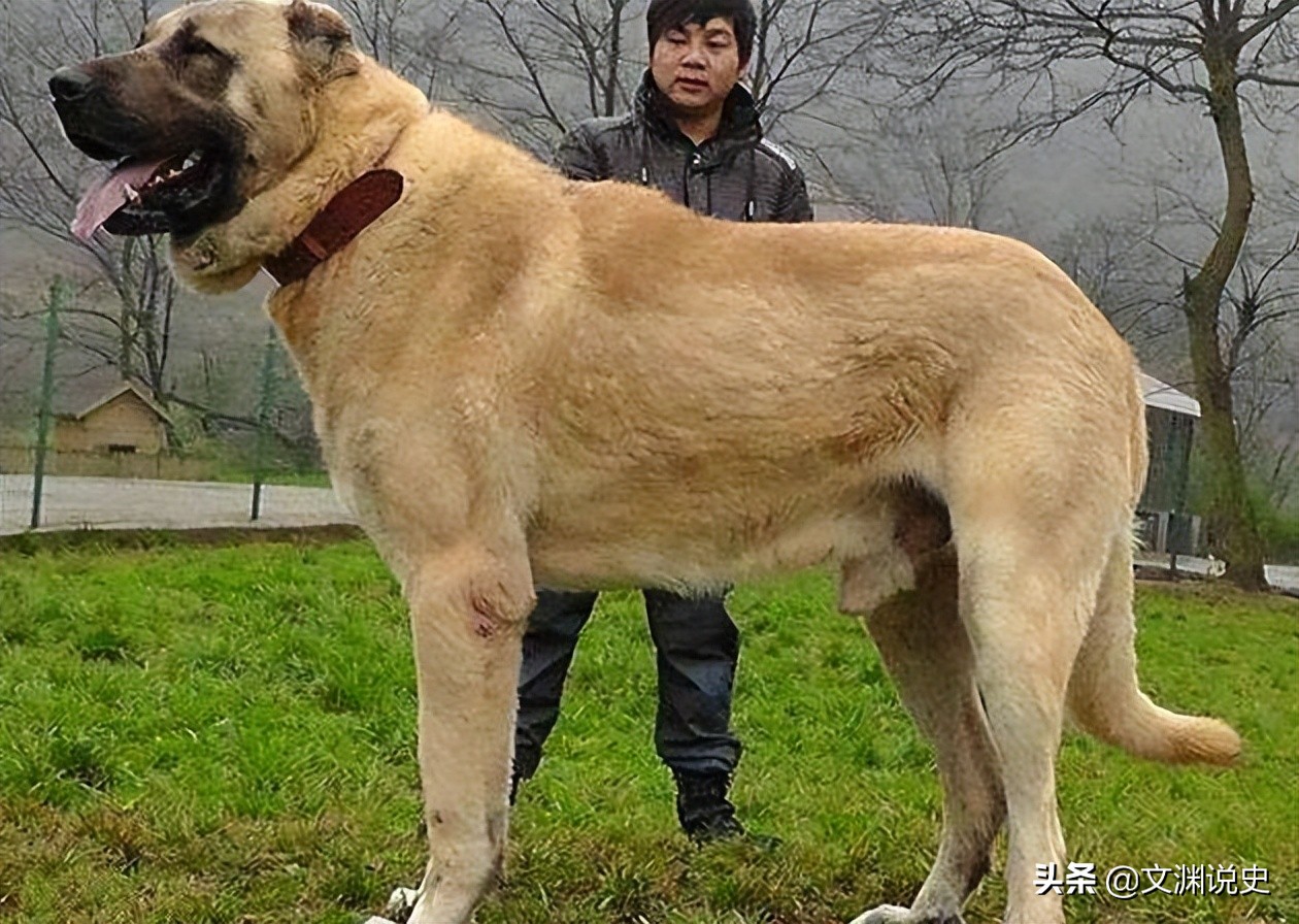 上千人聚集荒山野岭,户外40多人游戏聚会