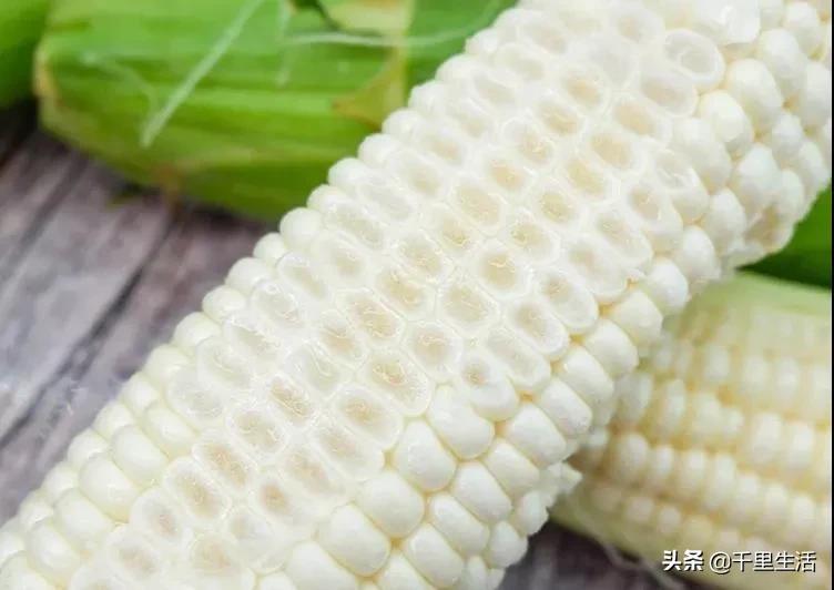 玉米界的“爱马仕”，一*爆口**浆，简直停不下来