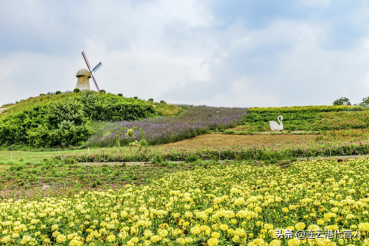 天堂圣景，瀛洲仙境，名不虚传的江苏连云港连云区