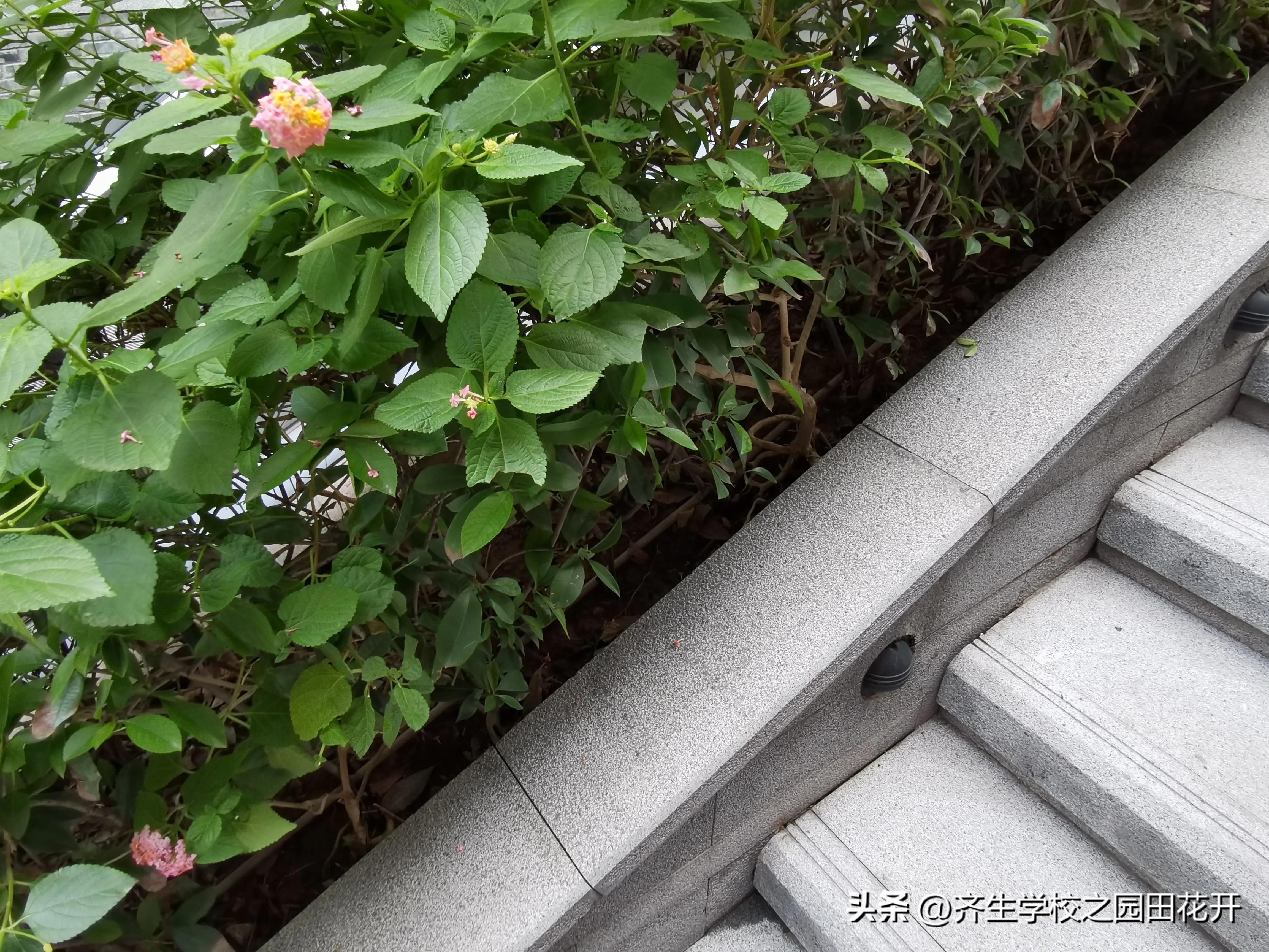 景观设计专业就业利弊,景观园林设计就业前景