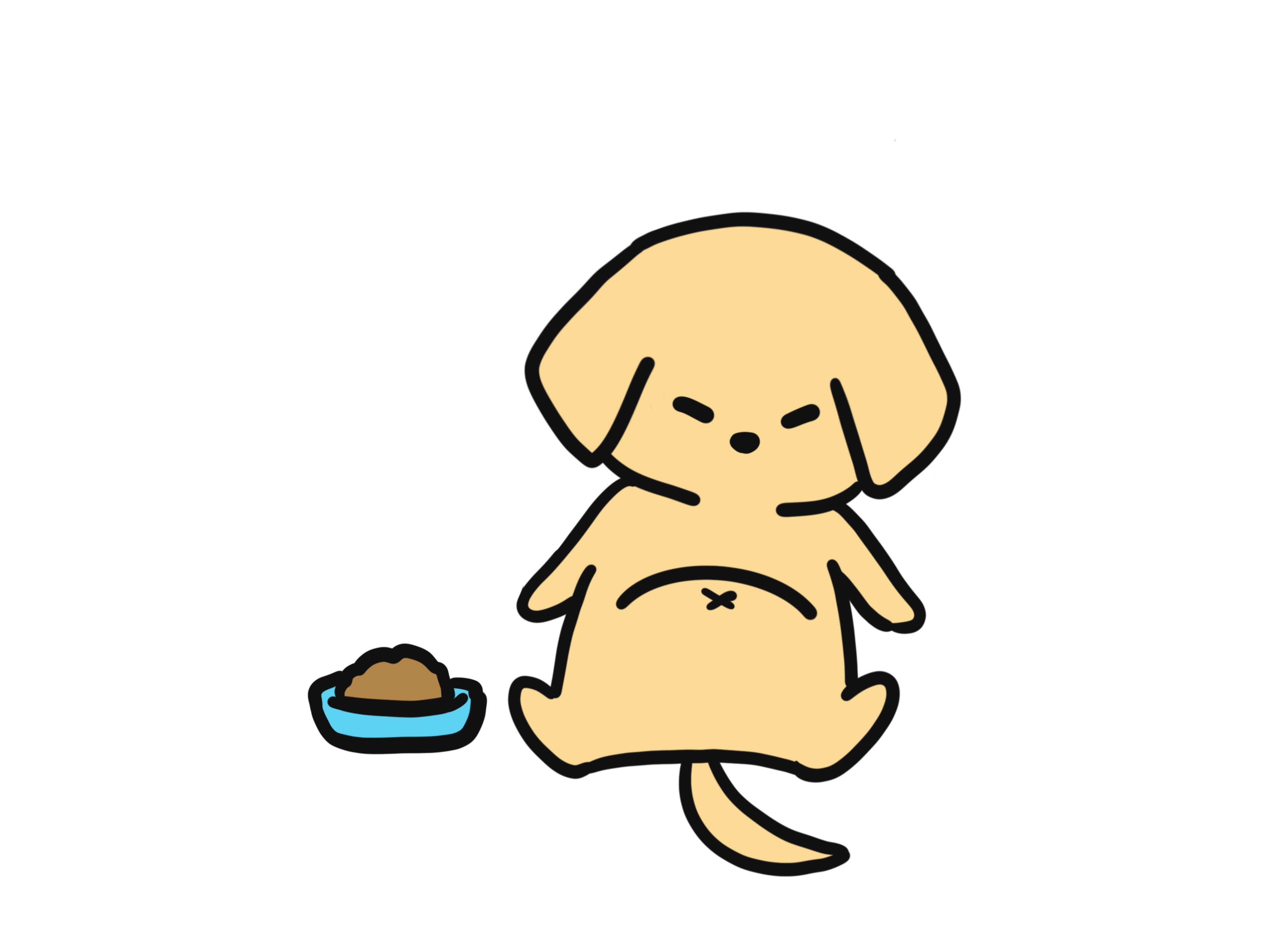 狗狗不愿动不吃食什么原因,狗狗不吃食怎么办