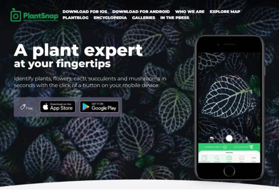 花草识别扫一扫软件下载,扫描识别花草树木app免费