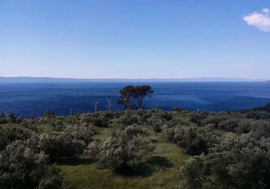 退休女人骑行,退休女性重启人生