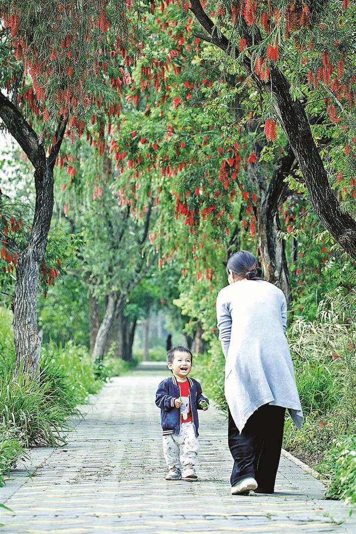 山海连城绿美宝安,深圳打造山海连城生态宜居城市