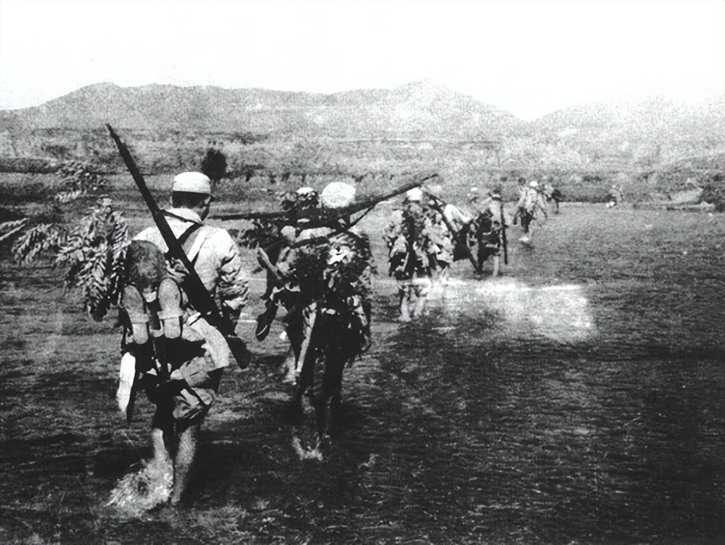 1纵班长发现不远处有一棵小松树，灵机一动大喊：快把梯子搬过来