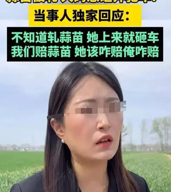 世界上什么蒜苗最贵,中国的蒜苗是哪里最贵的