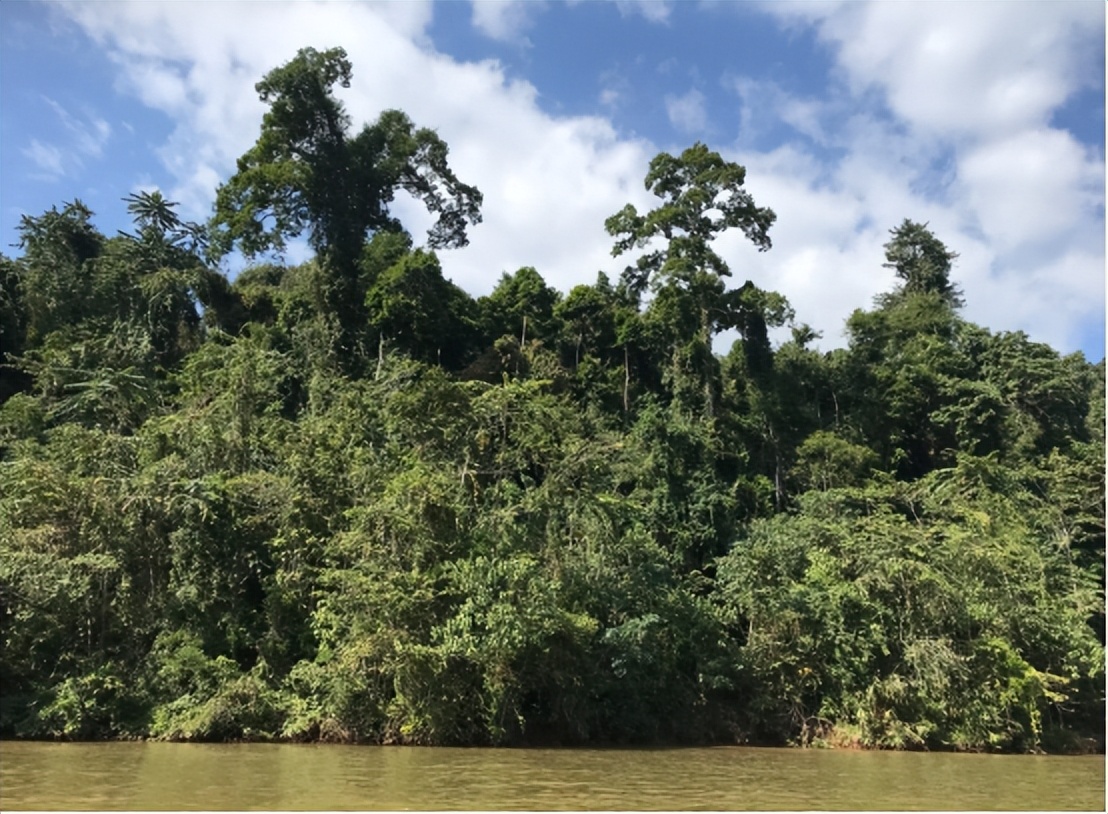 登革热疫情正在亚洲迅速蔓延,登革热只要不去东南亚就没事吗