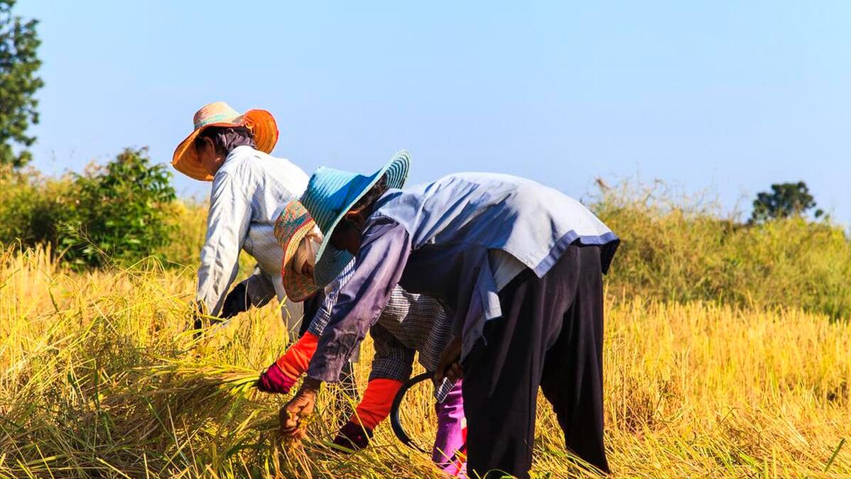 纵隔肿瘤会引起后背肩胛骨痛,右侧背部肩胛骨疼是癌症早期信号