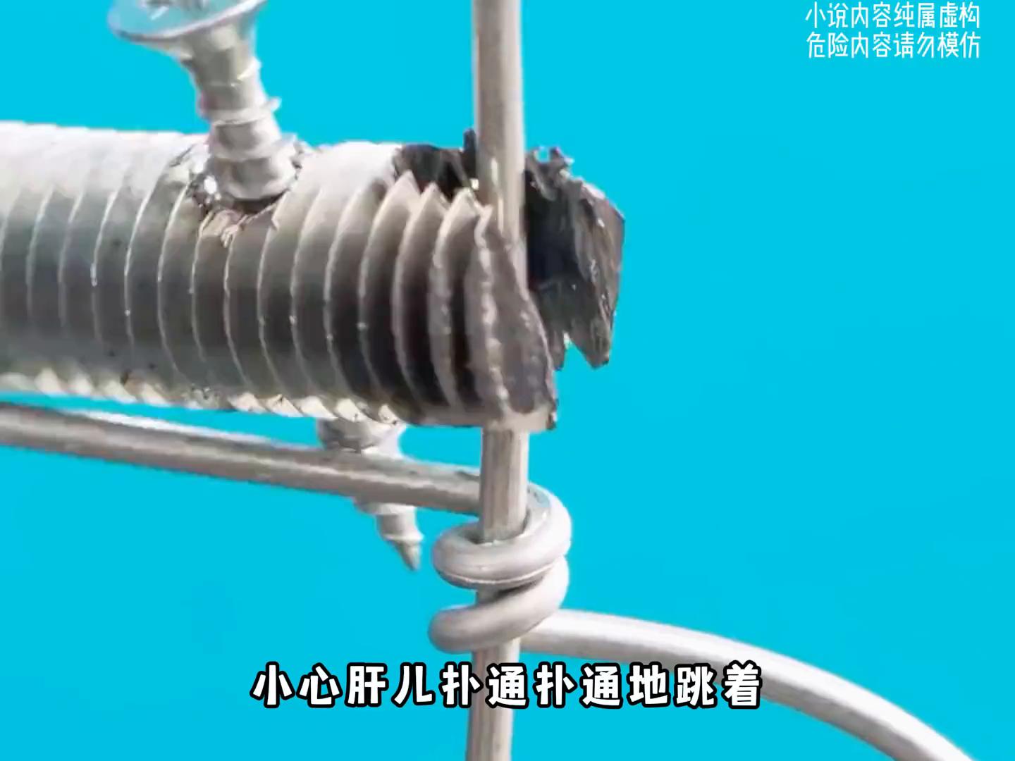 民间故事青蛇化龙视频,民间故事青蛇