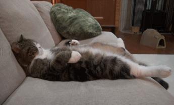 ZAKER石家庄早新闻 4.3 | 石家庄正太广场景观设计方案公示；新规落地，你的外卖“上锁”没；观花 这3条线路最佳