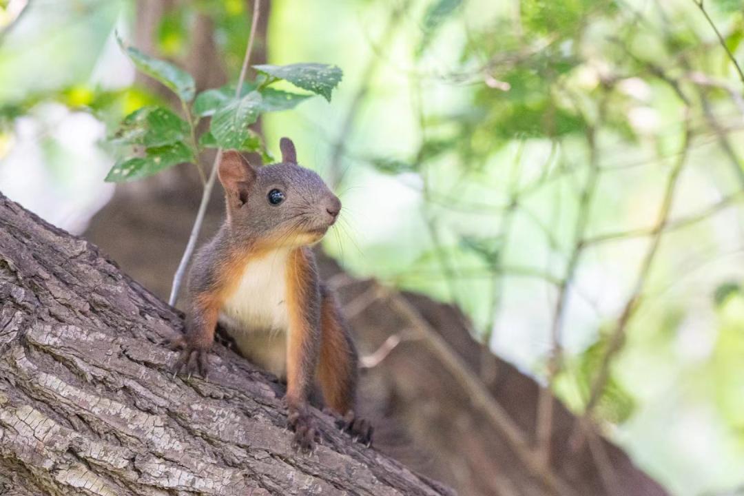长春必去十大网红地,来长春打卡每日更新哪家火爆