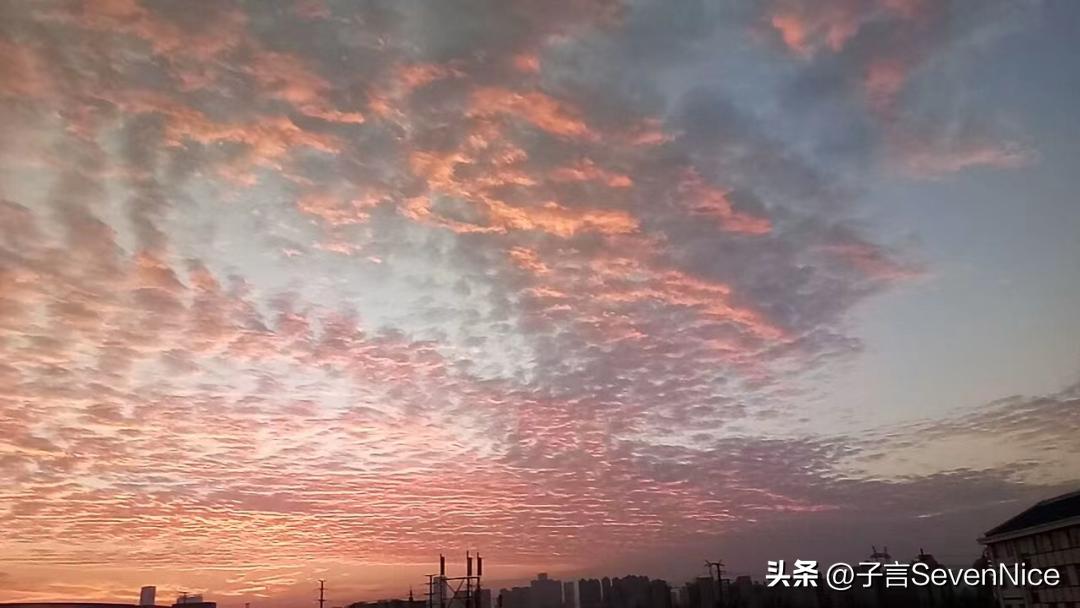 江西外语外贸职业学院学费多少,江西外语外贸职业学院报名代码