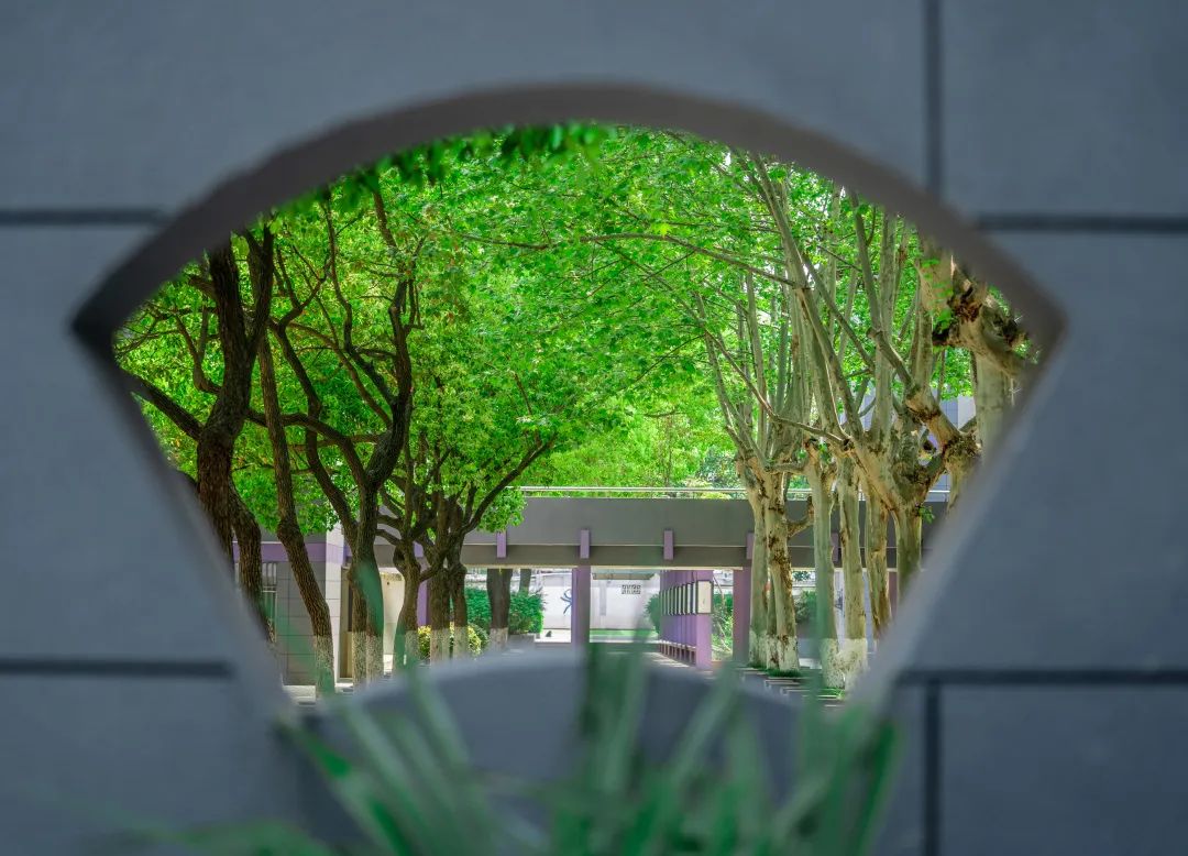 南京有几所好的高中排名,南京口碑最好的大学