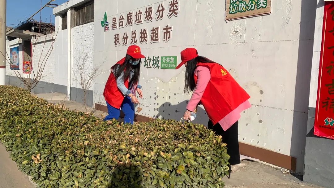 学雷锋，邢台市教育系统在行动