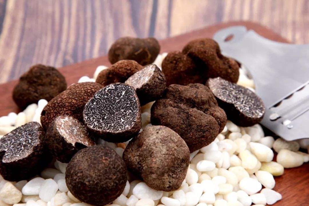 1人1猪搜寻深山里的“黑球球”，国外当宝国内喂猪，一公斤卖1500