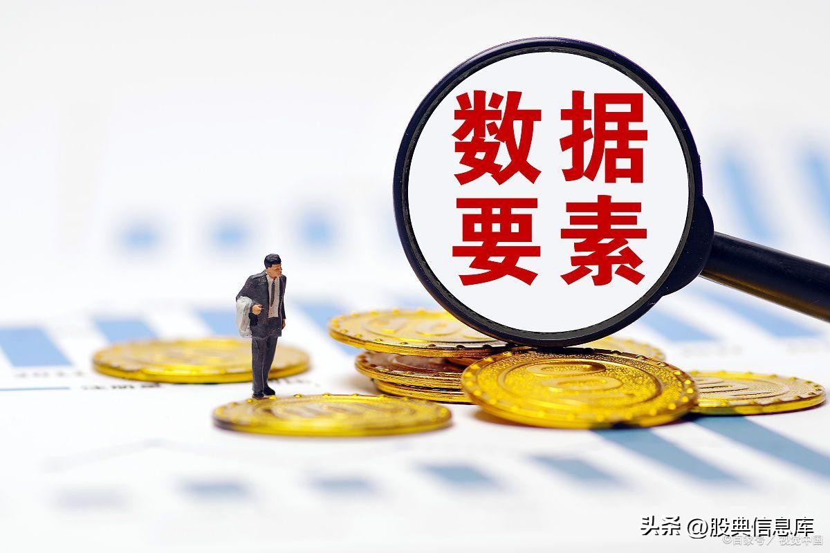 数据要素的意思,数据要素概念股的投资策略有哪些