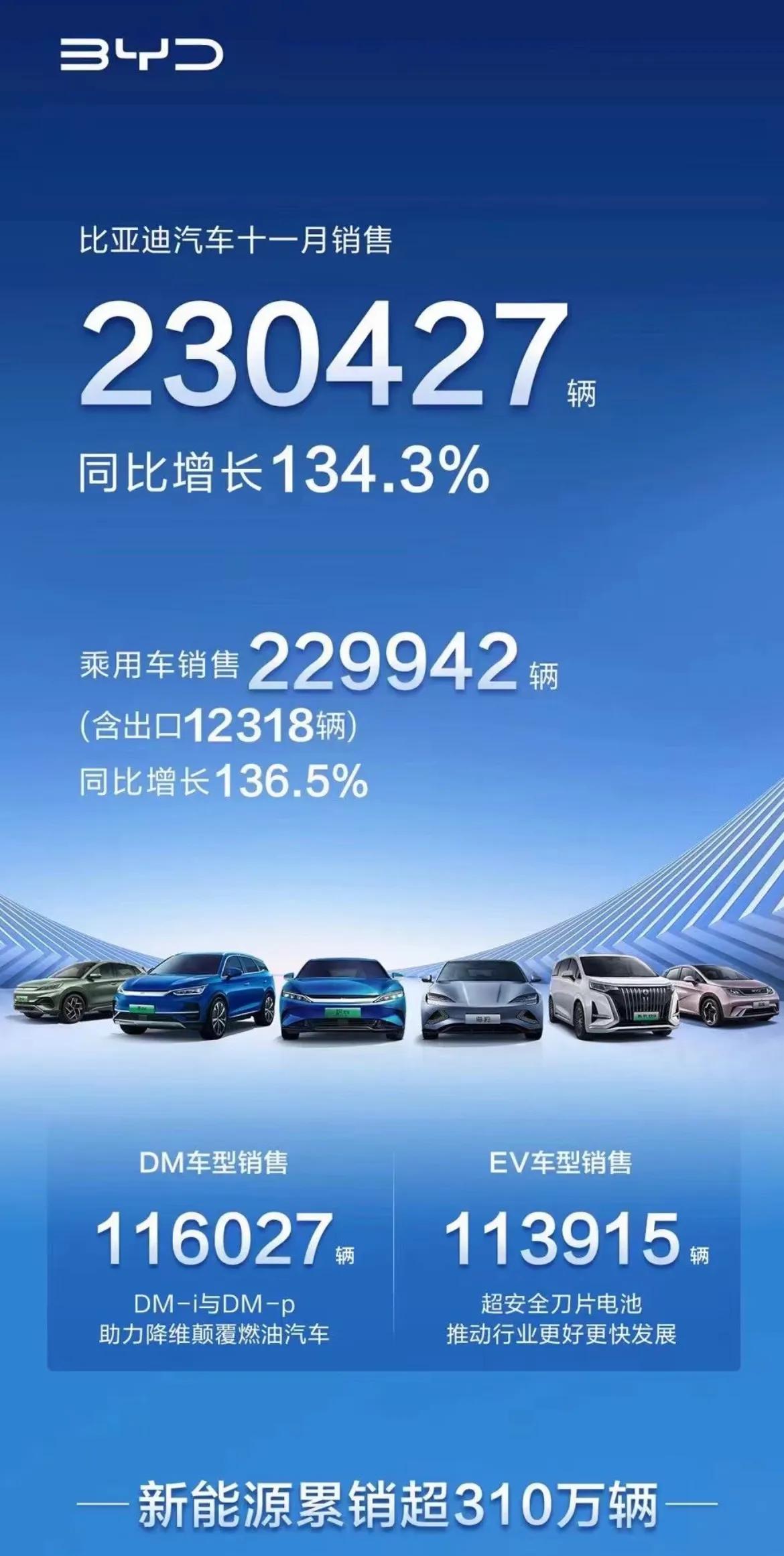 国产“七巨头”11月销量：年终排名基本锁定，比亚迪夺冠毫无悬念