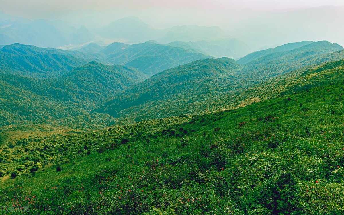 广西桂林人平均寿命是多少,平均寿命长寿的省份