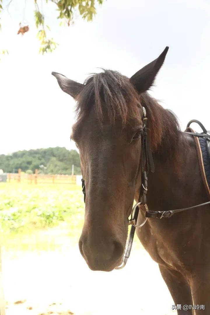 音乐潮玩市集白云公园站,潮玩街区音乐集市仁寿