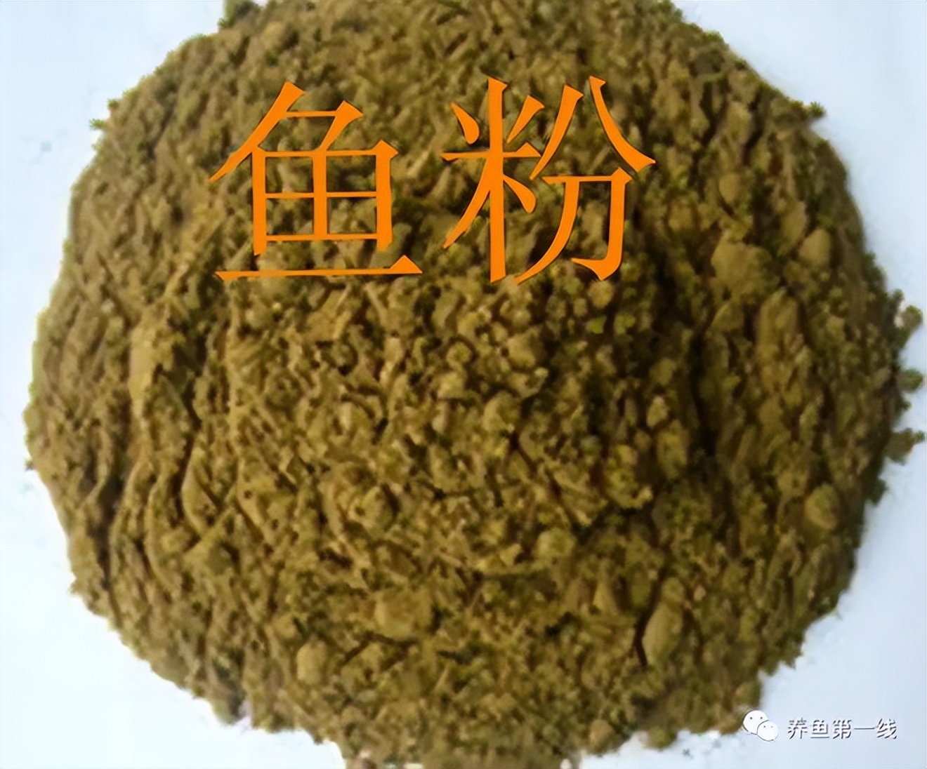 鱼饲料二合一,鱼饲料各种营养成分的含量