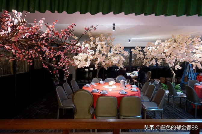 周末白相里的一张床、一群朋友、暴走于迪士尼乐园