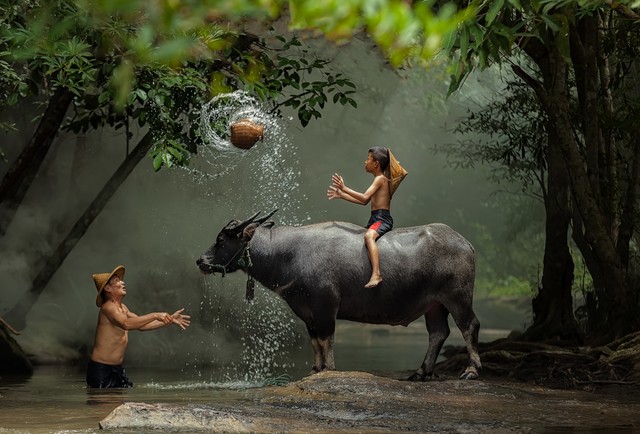 农村男女比例失衡表现在哪些方面,男女比例失衡是否会引发战争