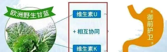 维生素diu代表啥,维生素u和复合维生素u区别