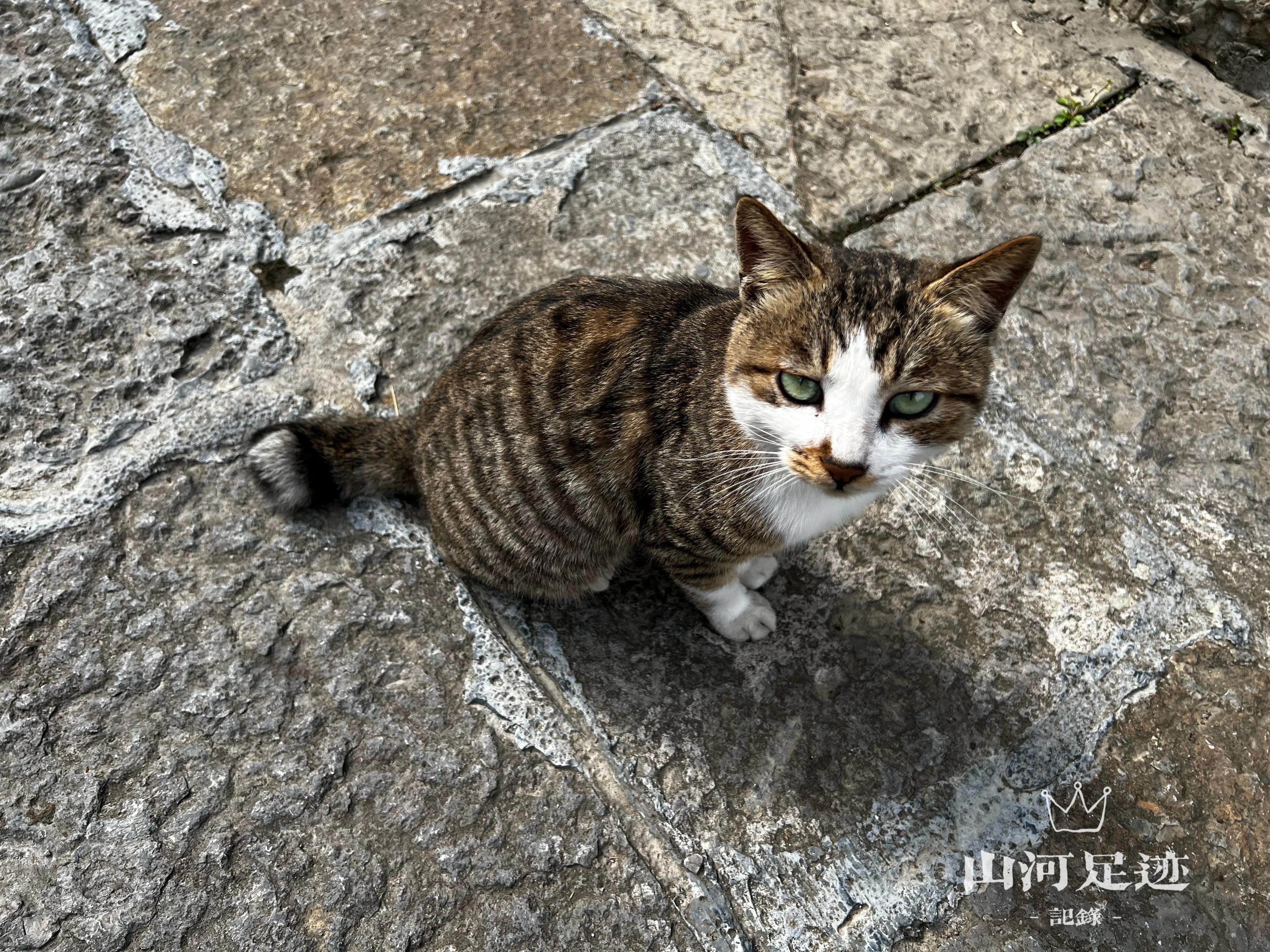 湘西这个古镇怎么样,湘西四大古镇