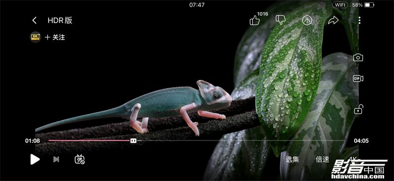 「专题」真的能看8K吗？国内外流媒体视频平台画质大比拼