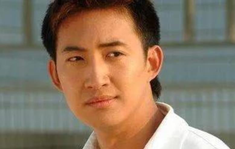 王阳演富二代什么电视剧,王阳富二代